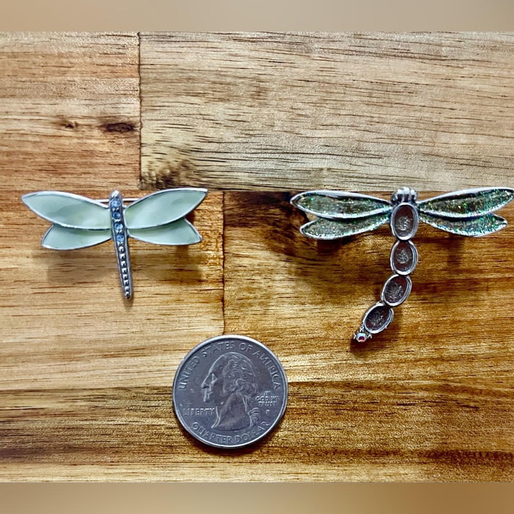 Silver Dragonfly Brooch Set of two.